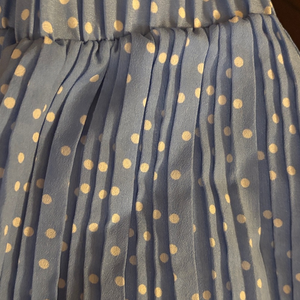 Blue Polka Dot Pleated A-Line Skirt - Picture 5 of 8